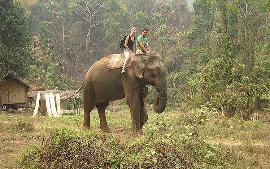 1467720168_1kaziranga 2.jpg